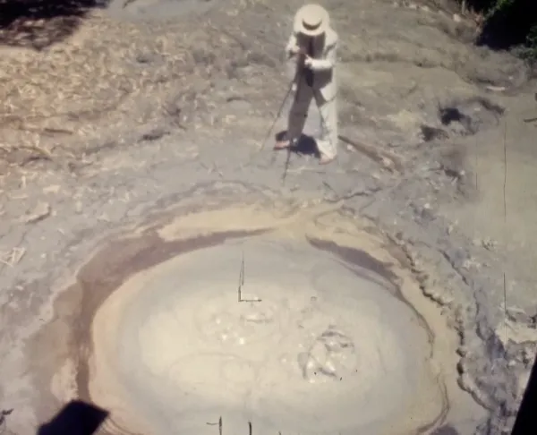 Amateur in the Moon