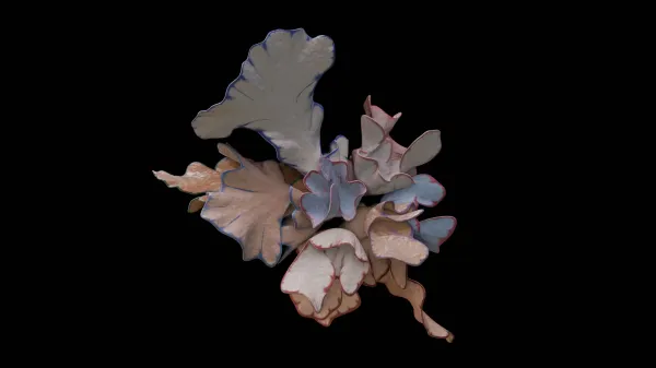 Future Botanica by Marcel van Brakel, Hazal Ertürkan