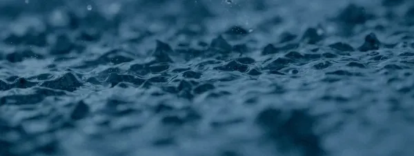 The Little Things That Moves The World