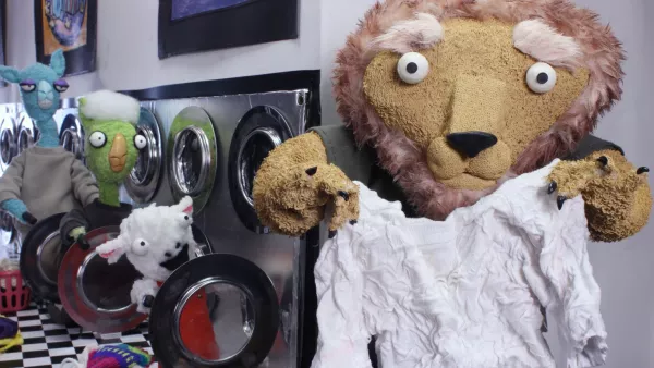 Llamas at the Laundromat