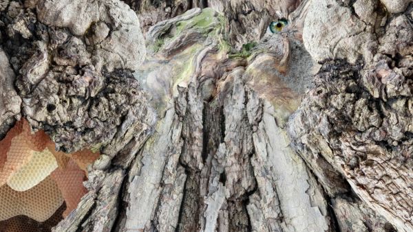 The Great Tree Piece