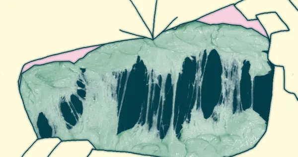Gum