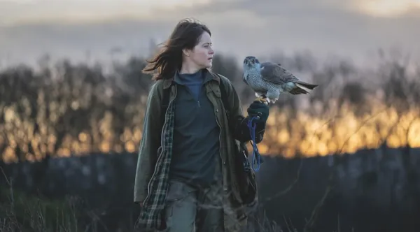 H Is for Hawk by Philippa Lowthorpe