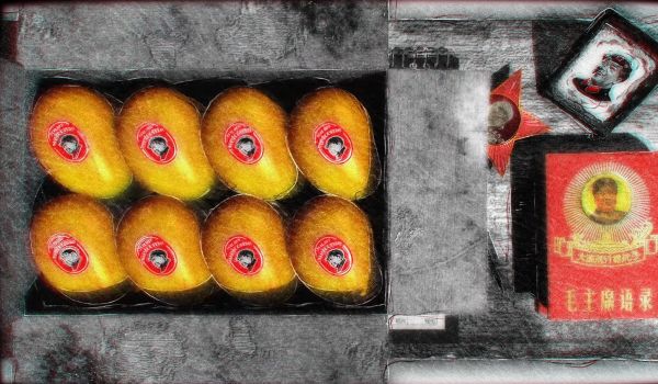 Mao's Mango Cult