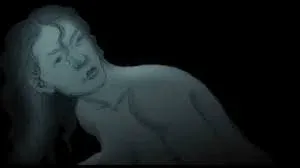 Hipopotamy