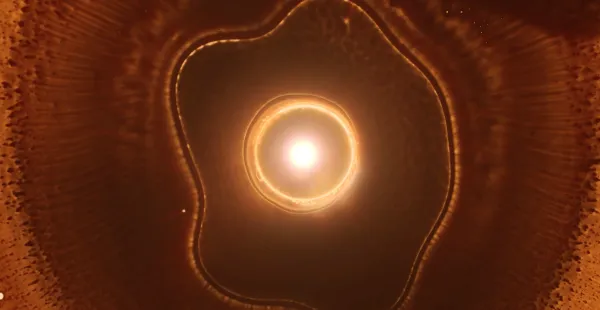 Stellar Iris