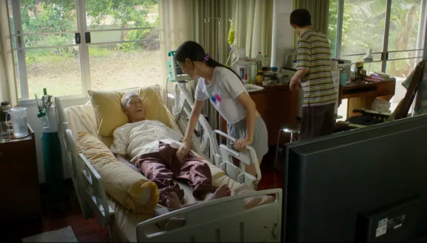 How to Make Millions Before Grandma Dies