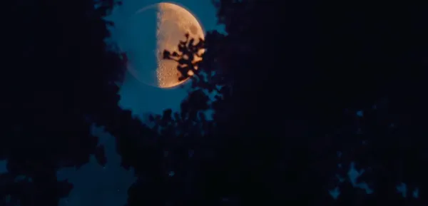 Highway to the Moon