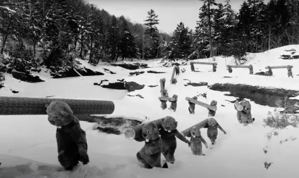 Hundreds of Beavers