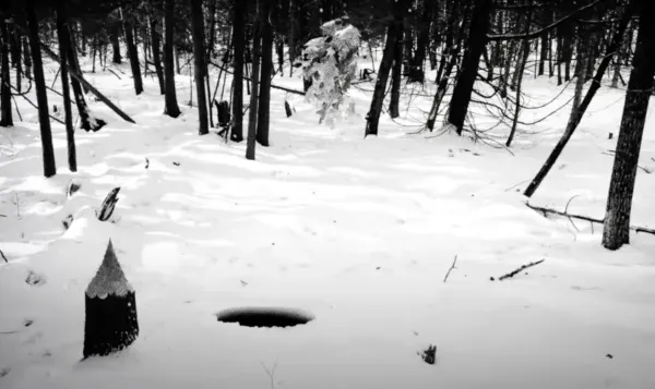 Hundreds of Beavers