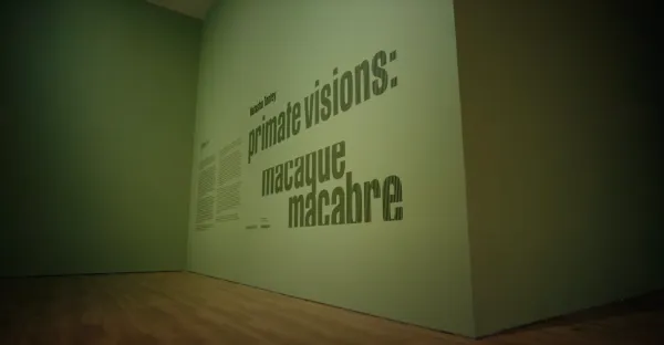 Primate Visions; Macaque Macabre