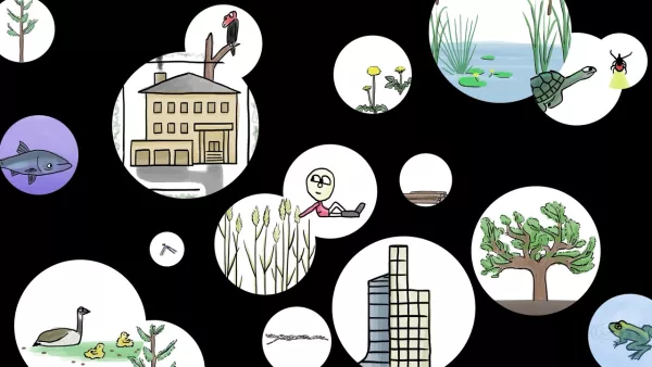 Humans Build The Biggest Nests by Isaac King