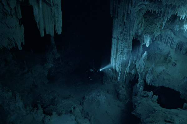 Diving Into The Darkness