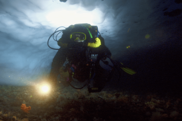 Diving Into The Darkness