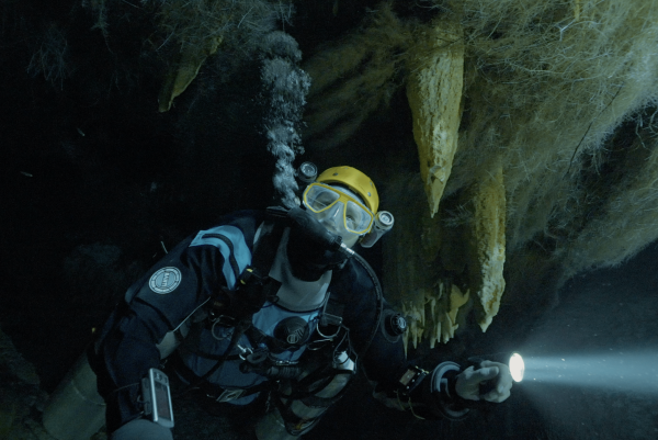 Diving Into The Darkness