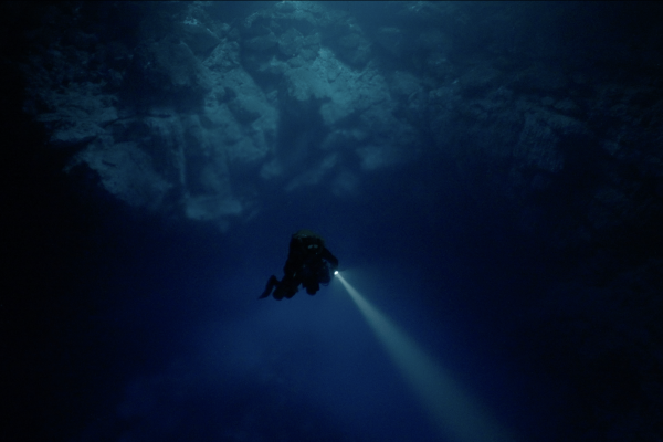 Diving Into The Darkness