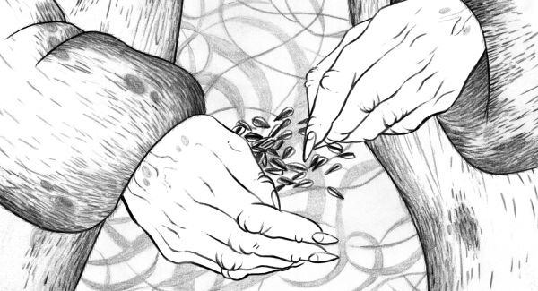 Impossible Figures and Other Stories I