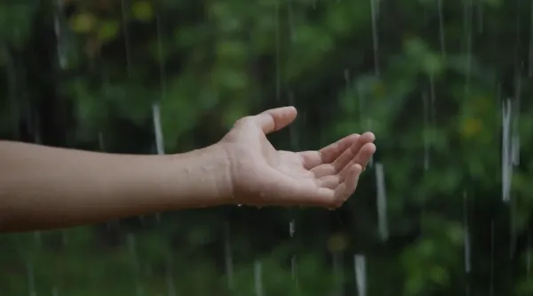 Jerhy