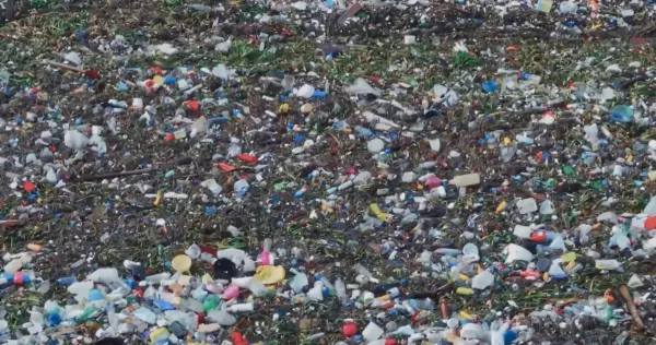 Nick Cave’s Veiled World
