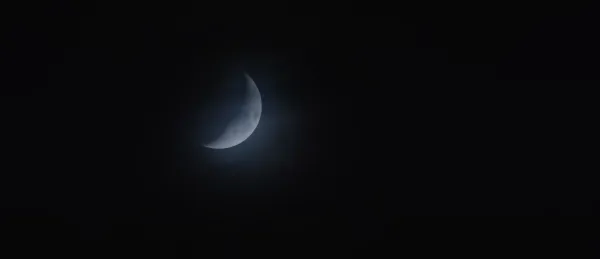 Half Moon by Frank Scheffer