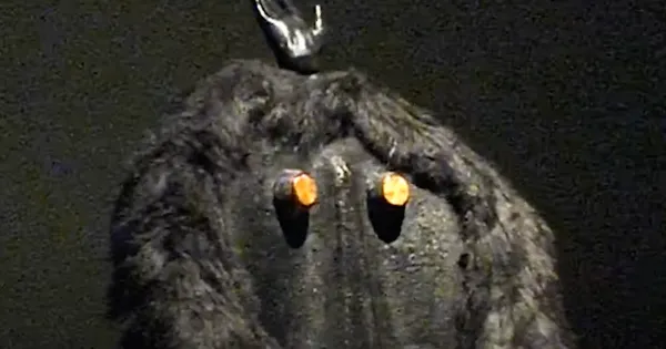 Primate Visions; Macaque Macabre