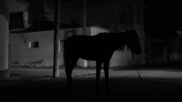 Blackout Dreams by Gabriele Licchelli and 2 co-directors