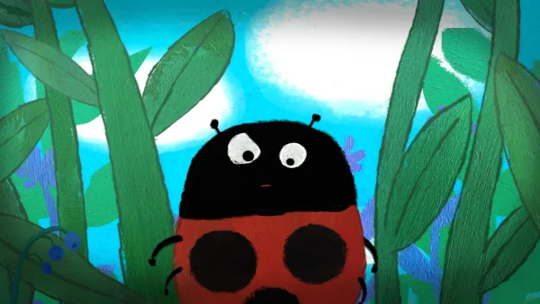 Ladybug