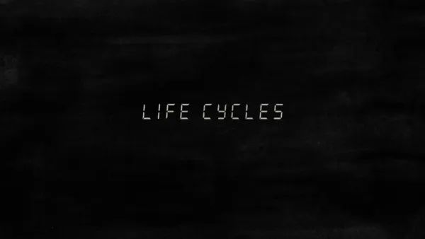 Life Cycles