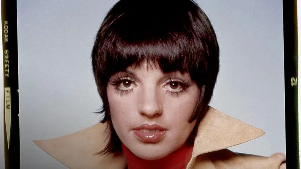 LIZA: A Truly Terrific Absolutely True Story by Bruce David Klein