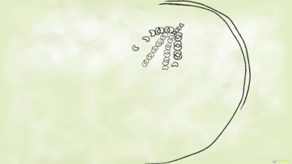 Loop