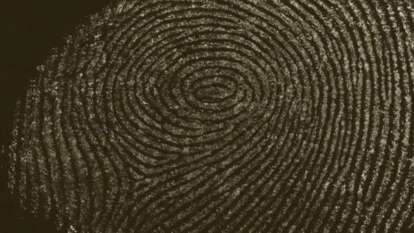 Microscopia