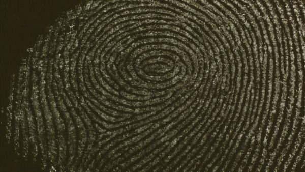 Microscopia