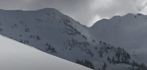 Mountain Joy