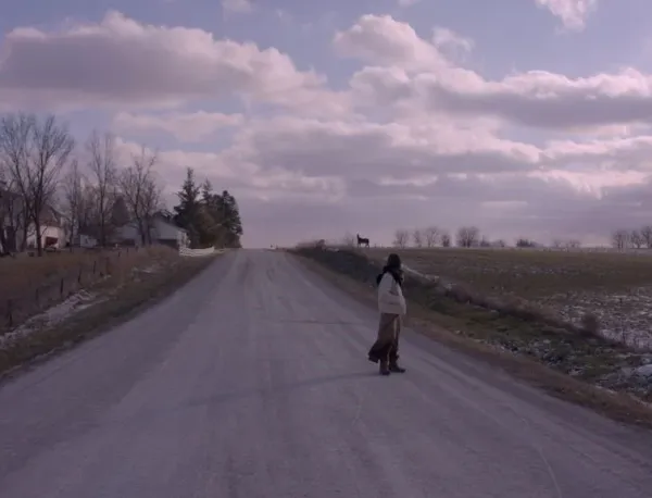 My Life is Wind (a letter)