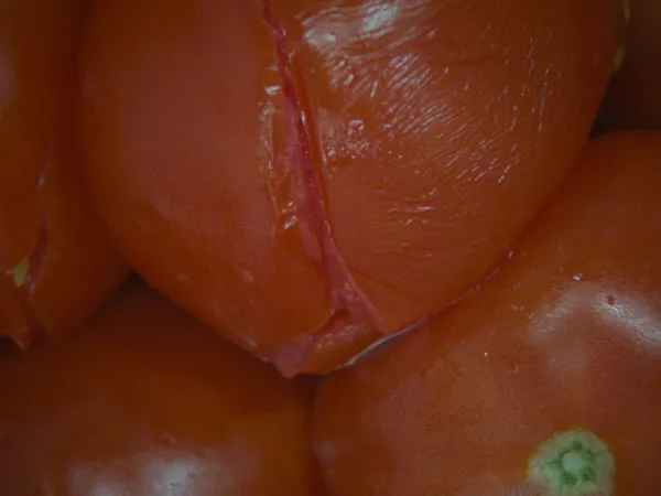 My Tomato Heart