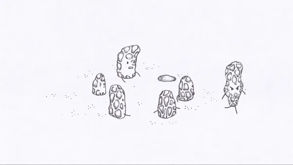 Nutwalk