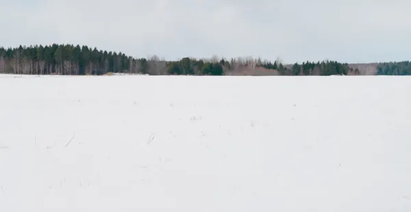 Something beautiful