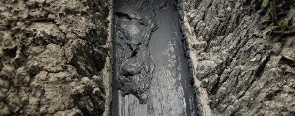 What Does the Mud Whisper?