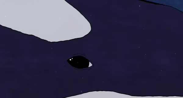 After A Whale