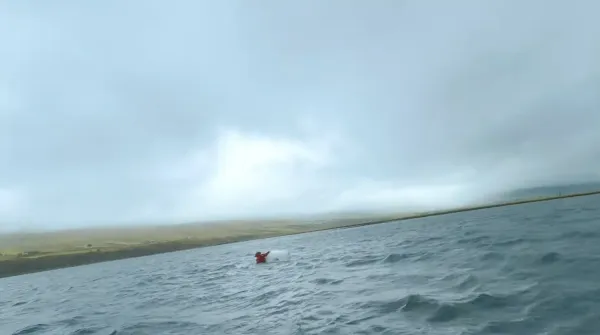 Home Is The Ocean