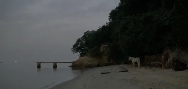 A Bay