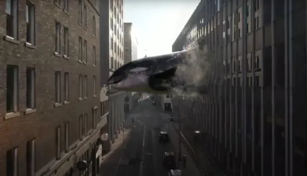 Orca