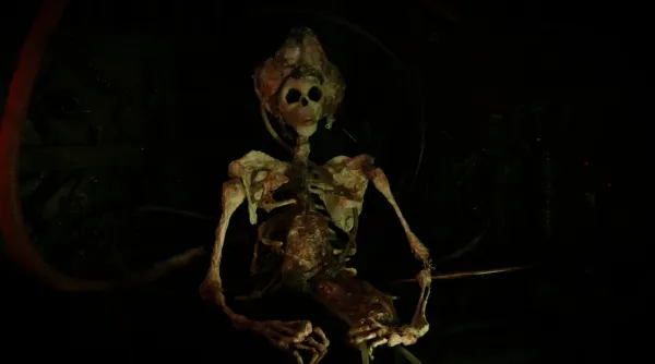 Our Lady of Rot