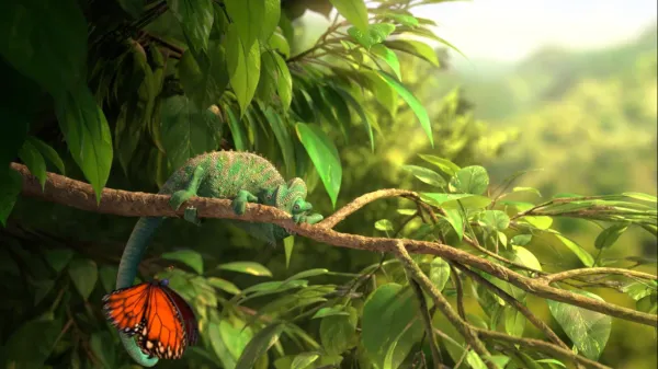Our Wonderful Nature - The Common Chameleon by Tomer Eshed