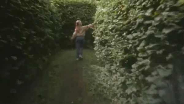 In and Out of the Hornbeam Maze