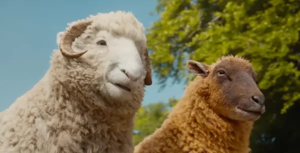 The Sheep Detectives