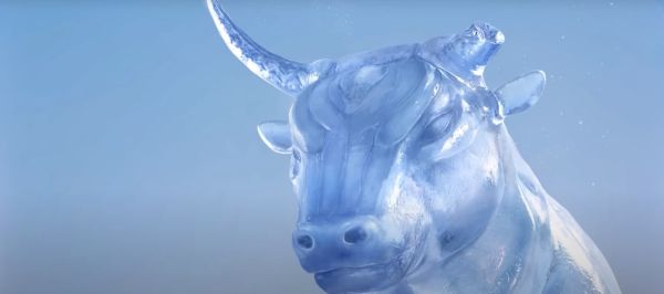 The Bull of Cold