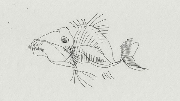 Strange Fish by Steven Subotnick