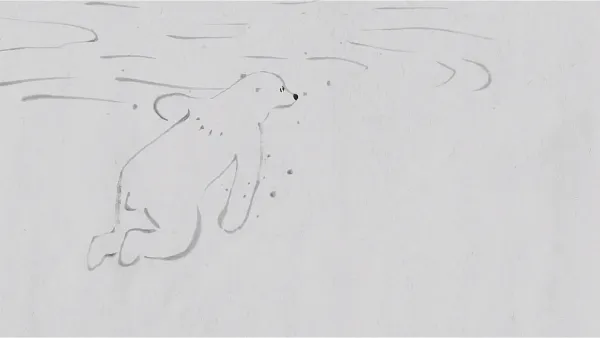 Polar Bear Bears Boredom