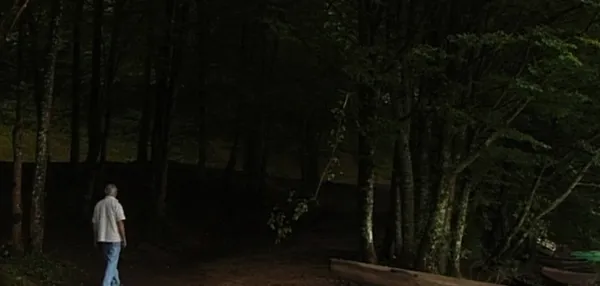 Where Are All My Lovers? by Jean-Claude Rousseau